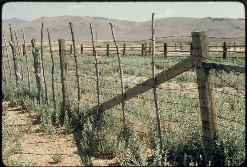 Illustration for article titled Barbed Wire